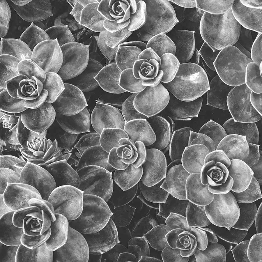 Urban planning consulting firms